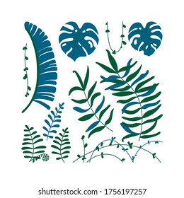 Isolated jungle leaves and lianas. Template with tropical theme. Vector illustration in flat style