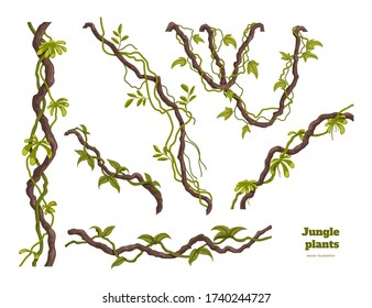 Isolated jungle plants set. Design elements. Liana branch. Tropical forest trees in cartoon style. Rainforest bush on white background. Vector illustration