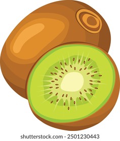 Isolated kiwi fruit and half cut kiwi fruit. Vector illustration. stock illustration