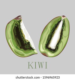Isolated kiwi on a gray background. Ripe green fruit. Print, banner, label, poster, sticker, logo. Vector illustration.