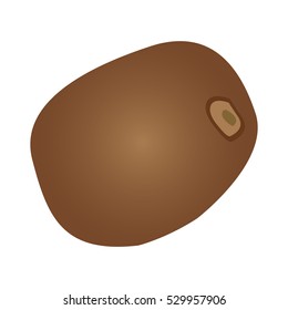 Isolated kiwi on a white background, Vector illustration