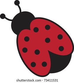 Isolated Ladybug