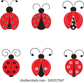 Isolated Ladybugs Vectors, Insect Vectors