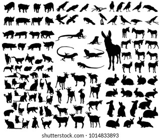 isolated large set of animals