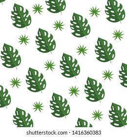 Isolated leaf background design vector illustration