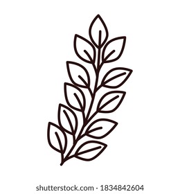 Isolated leaf design of Natural floral nature and plant theme Vector illustration