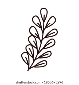 Isolated leaf design of Natural floral nature and plant theme Vector illustration