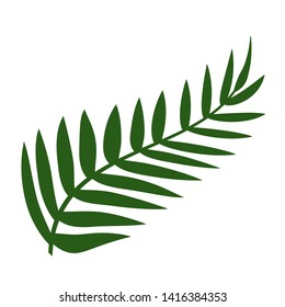 Isolated leaf design vector illustration