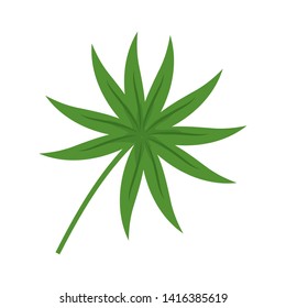 Isolated leaf design vector illustration