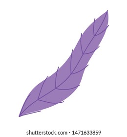 Isolated leaf design vector illustration