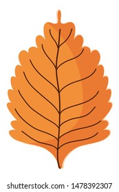 Isolated leaf design vector illustration