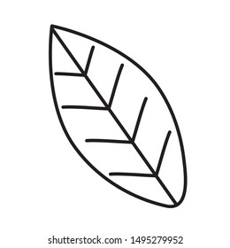Isolated leaf design vector illustration