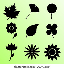 The isolated leaf and flower icon 