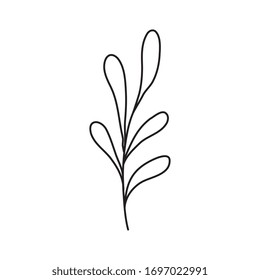 Icono de hoja aislada diseño de vegetación floral jardín adorno botánico y tema de la vida Ilustración vectorial