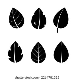 Isolated leaf on the white background. Tree silhouettes. set of leaf pine silhouette collections. Set for the design of various works, brochures, posters. 
