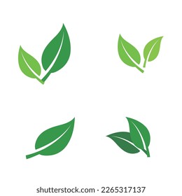 Isolated leaf on the white background. Tree silhouettes. set of leaf pine silhouette collections. Set for the design of various works, brochures, posters. 