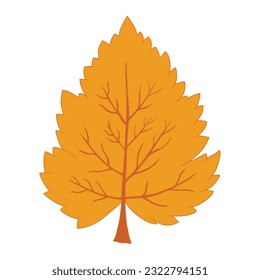 Isolated leaf on the white background. Tree silhouettes. set of leaf pine silhouette collections. Set for the design of various works, brochures, posters. 