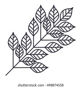 Isolated Leaf plant design