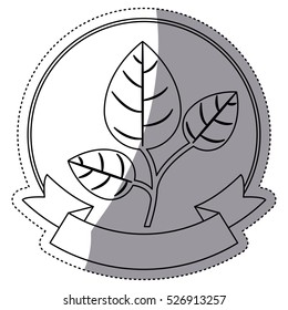 Isolated leaf plant design