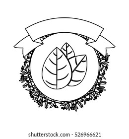 Isolated leaf plant design