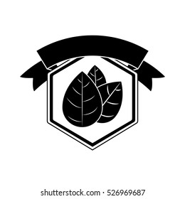 Isolated leaf plant design