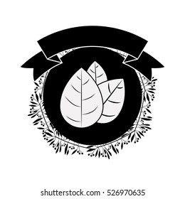 Isolated leaf plant design