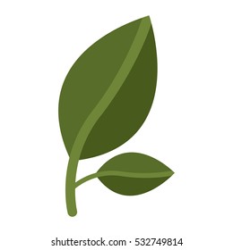 Isolated leaf plant design
