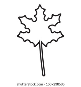 Isolated leaf vector design vector illustration