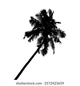 Isolated leaning palm tree silhouette. Black graphics isolated on white background. Realistic palm tree vector illustration.