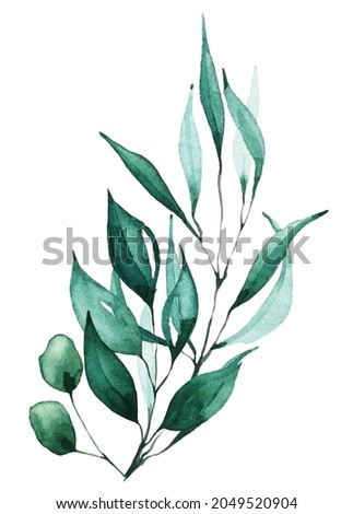 Isolated leaves branch arrangement. Traced vector watercolor. Hand drawn illustration on white background. Water colour drawing.