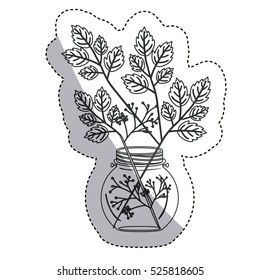 Isolated leaves decoration design