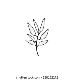 Isolated leaves decoration design