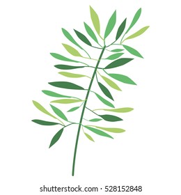 Isolated leaves decoration design