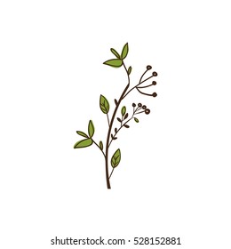 Isolated leaves decoration design