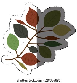 Isolated leaves decoration design