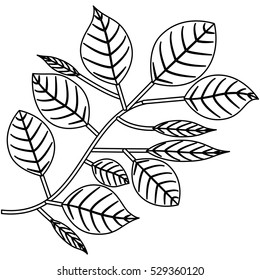 Isolated leaves decoration design
