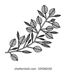 Isolated leaves decoration design