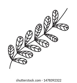 Isolated leaves design vector illustration