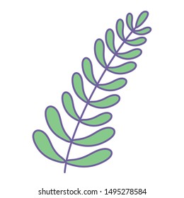 Isolated leaves design vector illustration