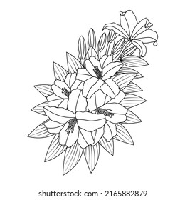 isolated leaves and flower doodle coloring page decorative element for print template