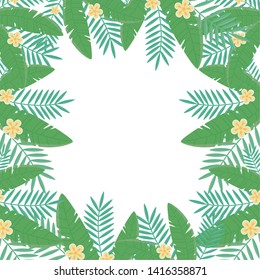 Isolated leaves frame design vector illustration