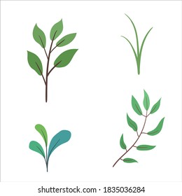 Isolated leaves and grass design of Natural floral nature and plant theme Vector illustration