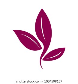 Isolated leaves icon