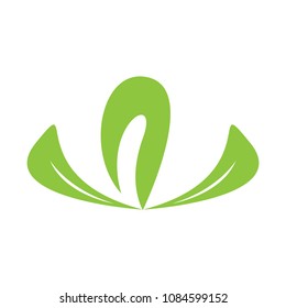 Isolated leaves icon