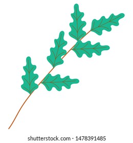 Isolated leaves vector design, vector illustration