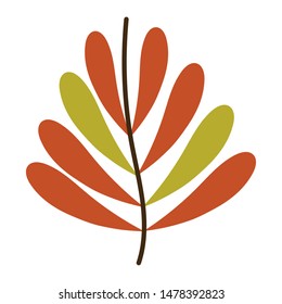 Isolated leaves vector design, vector illustration
