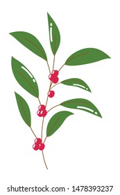 Isolated leaves vector design, vector illustration