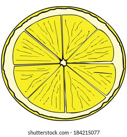 Isolated lemon slice, vector illustration