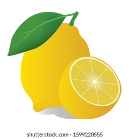 Isolated lemon vector on white background