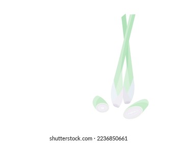 Isolated of Lemongrass 's stem and slice on flat vector.